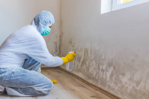 Best Mold Removal Process  in Atlantic City, NJ