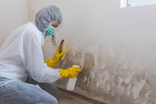 Mold Removal Process in Atlantic City, NJ