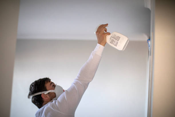 Best Professional Mold Removal  in Atlantic City, NJ
