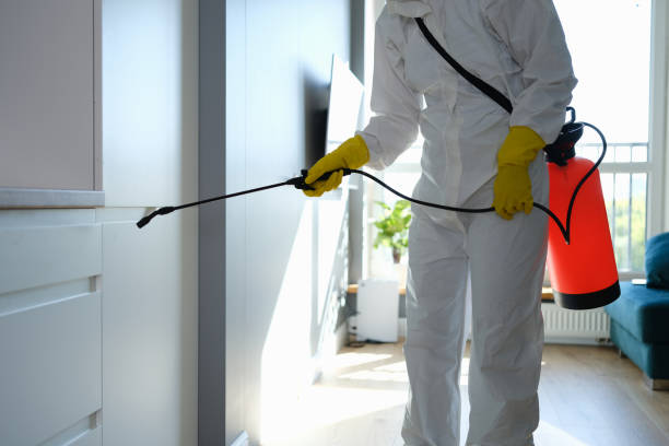 Reliable Atlantic City, NJ Mold Removal Solutions
