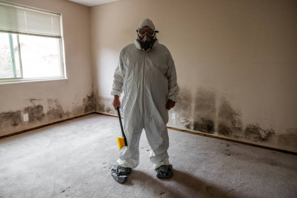 Certified Mold Removal in Atlantic City, NJ