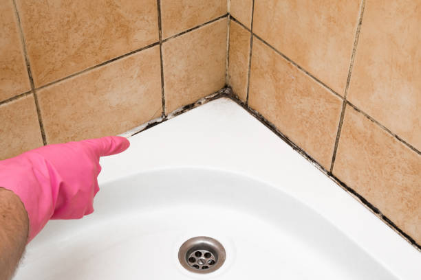 Best Fast Mold Removal  in Atlantic City, NJ